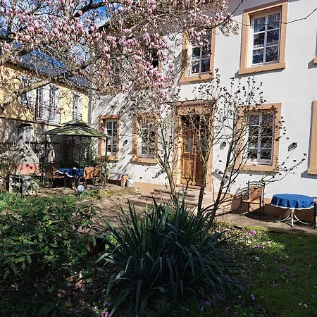 Juengling * نيوماغين-دهرون